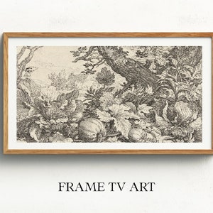 Peut inclure: Une gravure vintage en noir et blanc d'un paysage avec un arbre, du feuillage et des courges.