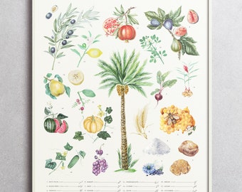 Foods of the Final Prophet - A Botanical Print Poster