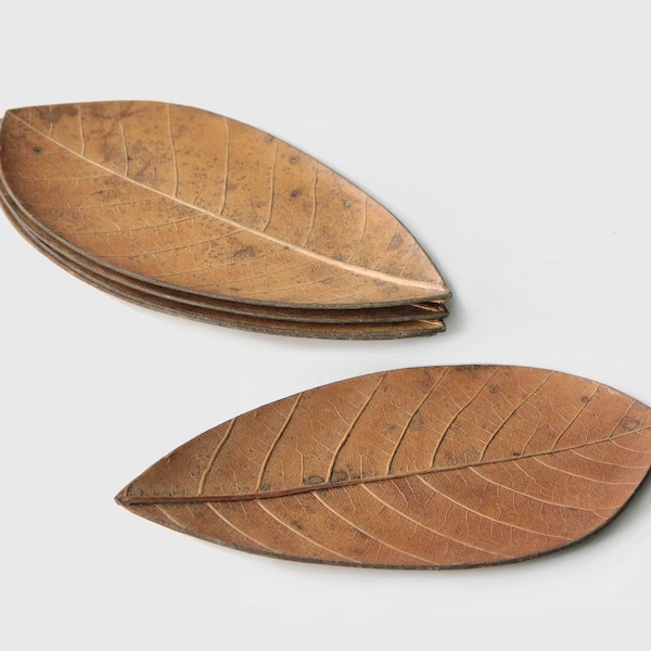 18cm / Natural Leaf Plates | Japanese Hand Craft Sweets Dish