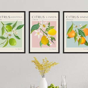 Set of 3 Citrus Fruits Poster Printable | Lemon Orange Lime Minimalist Wall Art | Vintage Botanical Digital Print Decor for Kitchen, Garden