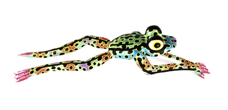 Oaxacan Wood Carving Leaping Frog Alebrije by David Adrian Blas Mexican Folk Art Oaxaca Mexico image 5