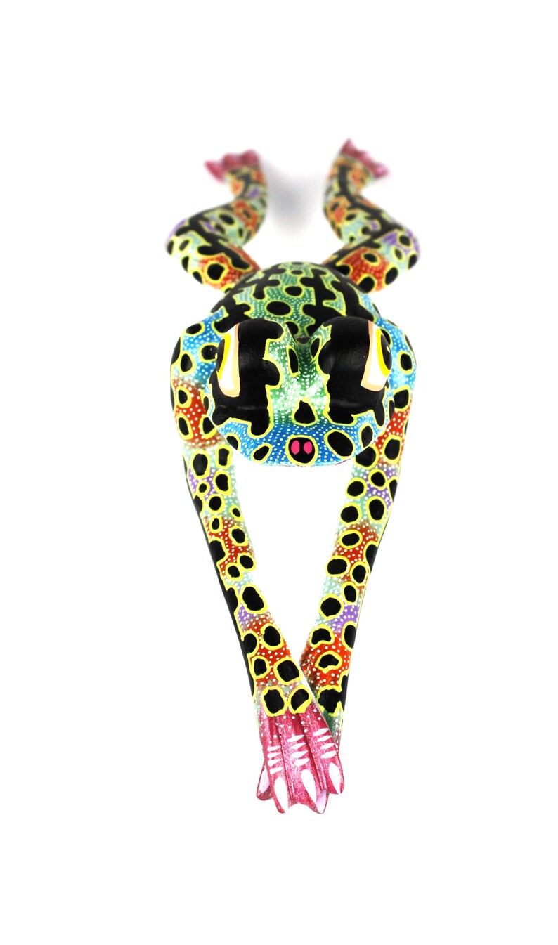 Oaxacan Wood Carving Leaping Frog Alebrije by David Adrian Blas Mexican Folk Art Oaxaca Mexico image 11