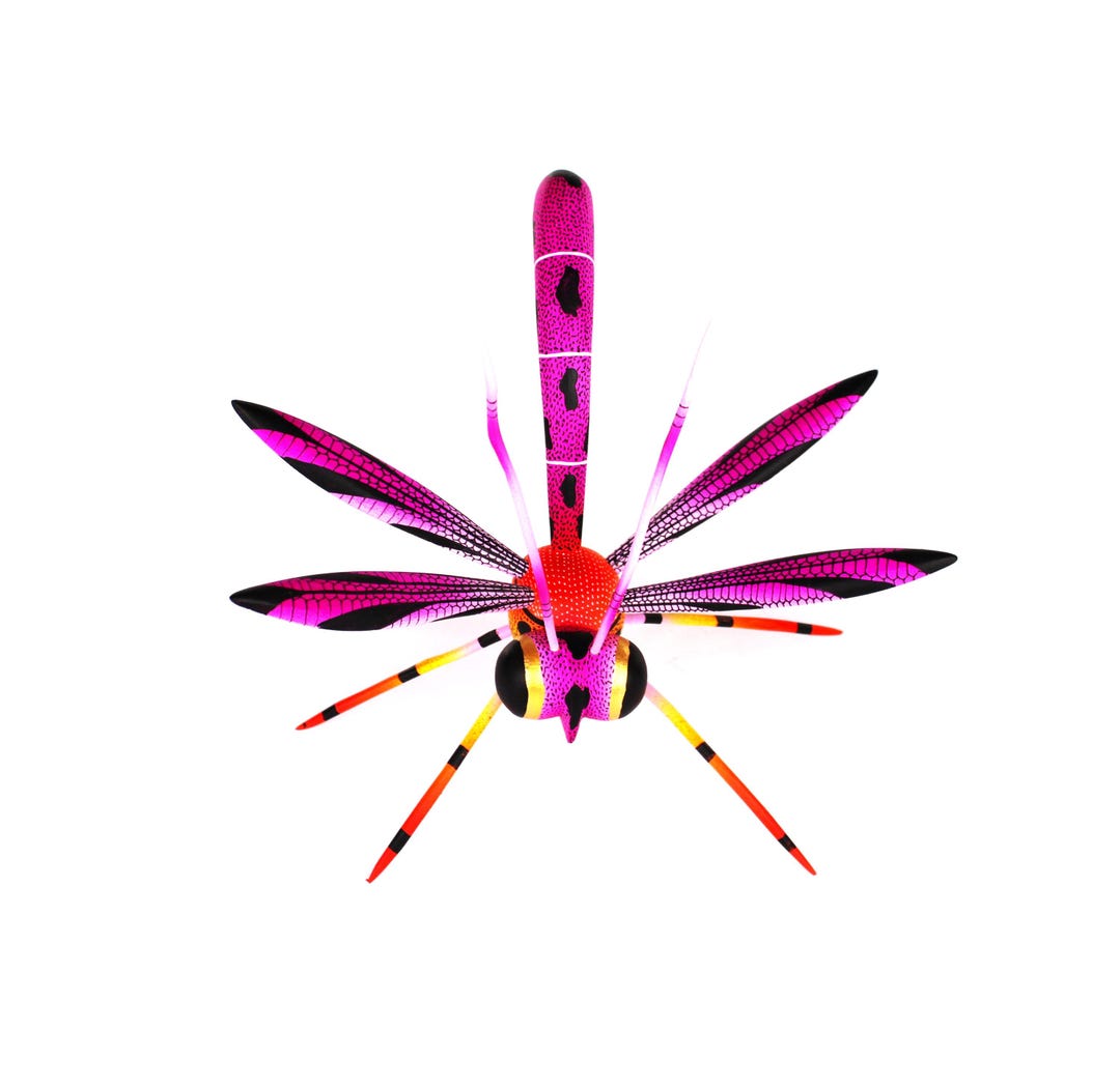 Oaxaca Wood Carving Dragonfly Insect by Victoria Blas Oaxacan Mexican ...