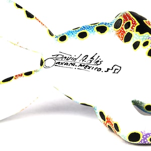 Oaxacan Wood Carving Leaping Frog Alebrije by David Adrian Blas Mexican Folk Art Oaxaca Mexico image 13