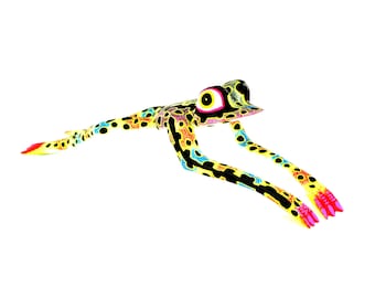 Oaxacan Wood Carving Leaping Frog Alebrije by David Adrian Blas Mexican Folk Art Oaxaca Mexico