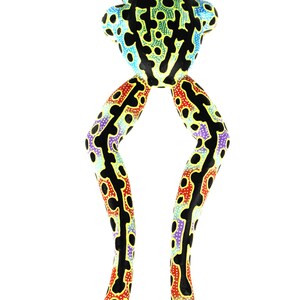 Oaxacan Wood Carving Leaping Frog Alebrije by David Adrian Blas Mexican Folk Art Oaxaca Mexico image 7