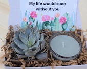 Succulent Gift Box - My Life Would Succ Without You - Best Friend Gift - Send a Gift - Succulent Gifts - Gifts that Grow - Succulent Package