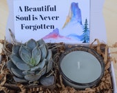 Succulent Gift Box - Sympathy Gift - Bereavement Gift- Send a Gift -Succulent Gift -Sorry For Your Loss -A Beautiful Soul is Never Forgotten
