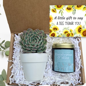 Thank You Succulent Gift Box - A Big Thank You Gift Box - Employee Appreciation Gift - Send a Gift - Gifts that Grow - Succulent Gift