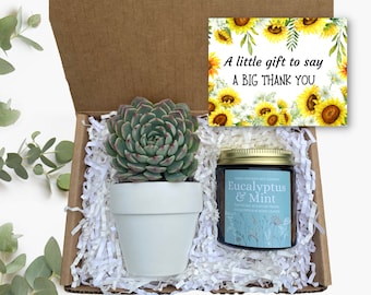 Thank You Succulent Gift Box - A Big Thank You Gift Box - Employee Appreciation Gift - Send a Gift - Gifts that Grow - Succulent Gift