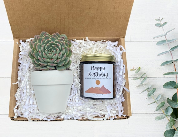 Happy Birthday Gift Box - Best Friend Gift - Send a Gift - Succulent Gifts - Birthday Candle Gift - Succulent Care Package