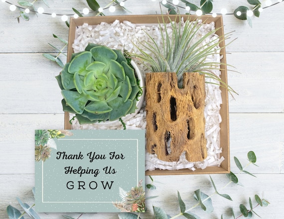 Desk Decor Employee Gifts - Corporate Holiday Gifts - Client Gifts - Succulent Gifts - Teacher Gifts - Thank You For Helping Us Grow