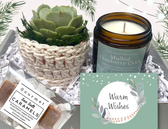 Cozy Holiday Gift Box - Holiday Care Package - Succulent with Cozy - Christmas Gifts - Winter Gifts - Holiday Client Gifts - Corporate Gifts