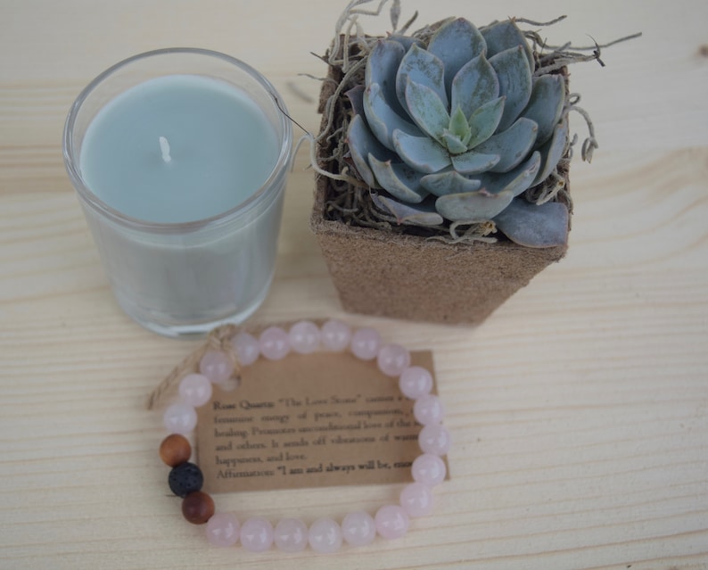 Succulent Gifts Succulent Care Package Gifts that Grow Best Friend Gift Send a Gift Succulent Gift Box Happy Birthday Gift