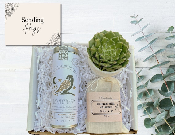 Sending Hugs Care Package - Plant Gift Box  - Succulent, Tea & Oatmeal Soap - Sympathy Gifts - Friendship Gifts - Sending Hugs Gift Box