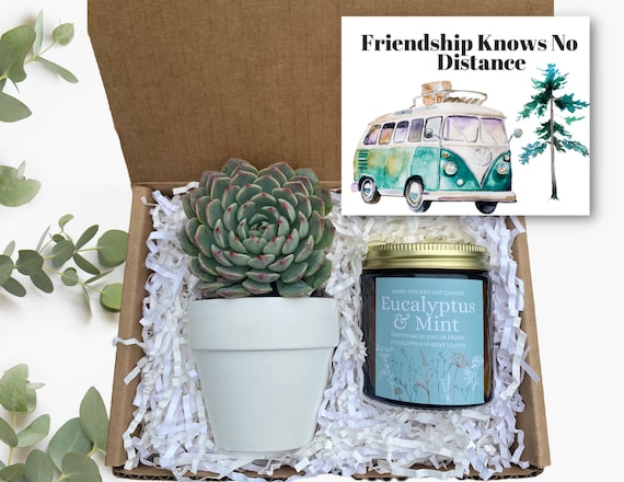 Friendship Succulent Gift Box - Friend Gift - Send a Gift - Succulent Gifts - Gifts that Grow - Succulent Package - Succulent in Ceramic Pot