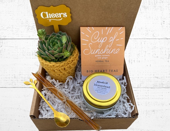 Tea & Plant Gift Box - Care Package - Plant Gift Box - Succulent with Plant Cozy and Plant Stake, Tea for Two, Soy Candle and Golden Spoon