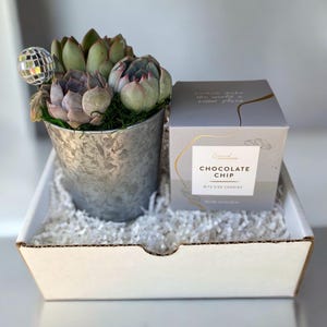 Sappig arrangement en koekjescadeau - plantcadeau - klantcadeau - cadeau collega - kies je kaartbericht - bedankje - gratis verzending