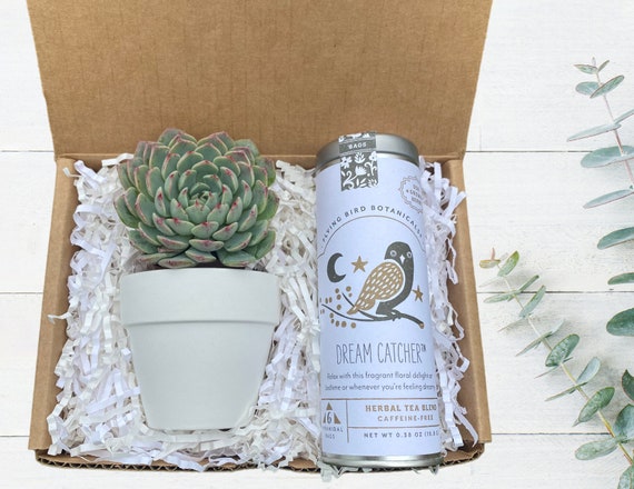 Gift Box For Any Occasion - Care Package - Plant Gift Box - Tea Gift - Cozy Gift - Happy Birthday - Sympathy - Sending Hugs - New Home