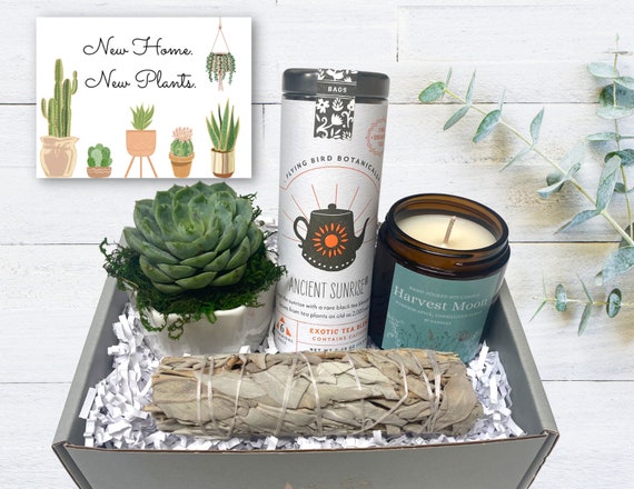 Home Blessing Gift Box Succulent, Tea, Candle & Sage Gift Box Housewarming  Gifts New Home Box Realtor Client Gifts Build a Box 