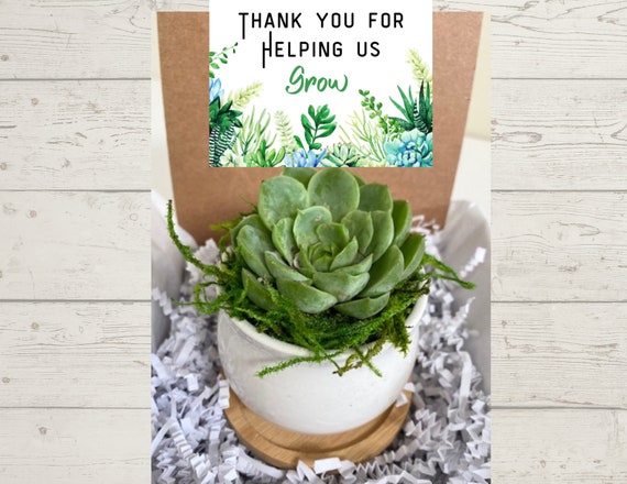 Thank You For Helping Us Grow Mini Succulent Gift - Client Gift - Employee Gift - Teacher Gift - Realtor Gift - DROP SHIP AVAILABLE