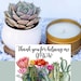 Teacher Gift - Succulent Gift Box - Thank You For Helping Me Grow Gift - Send a Gift - Succulent Gifts - Gifts that Grow - Succulent Package 