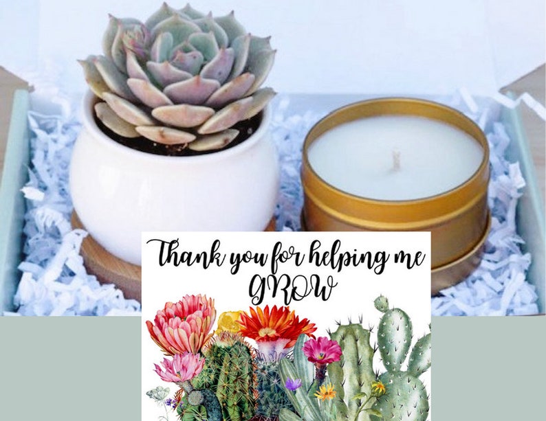 Teacher Gift - Succulent Gift Box - Thank You For Helping Me Grow Gift - Send a Gift - Succulent Gifts - Gifts that Grow - Succulent Package 