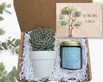 Sending Hugs Succulent Gift Box - Sympathy Gift - Bereavement Gift- Send a Gift - Plant Care Package - Sending Hugs and Support Gift