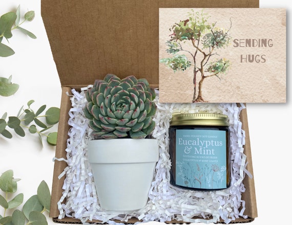 Sending Hugs Succulent Gift Box - Sympathy Gift - Bereavement Gift- Send a Gift - Plant Care Package - Sending Hugs and Support Gift