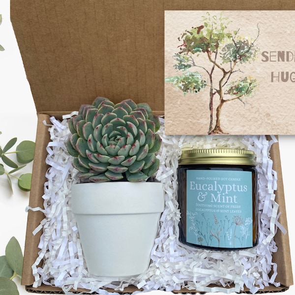 Sending Hugs Succulent Gift Box - Sympathy Gift - Bereavement Gift- Send a Gift - Plant Care Package - Sending Hugs and Support Gift