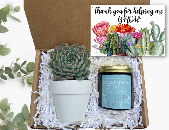 Teacher Gift - Succulent Gift Box - Thank You For Helping Me Grow Gift - Send a Gift - Succulent Gifts - Gifts that Grow - Succulent Package