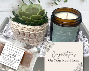 Housewarming Gift Box - Care Package - New Home Plant Gift Box - Succulent with plant cozy, soy candle and sea salt caramels in gift box