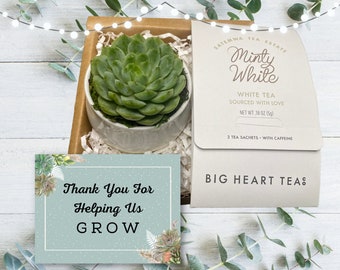 Succulent & Tea Employee Gift Box  - Thank You For Helping Us Grow Succulent Care Package - Corporate Gift Box - Client Gifts