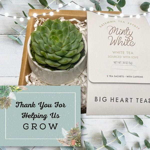 Succulent & Tea Employee Gift Box  - Thank You For Helping Us Grow Succulent Care Package - Corporate Gift Box - Client Gifts