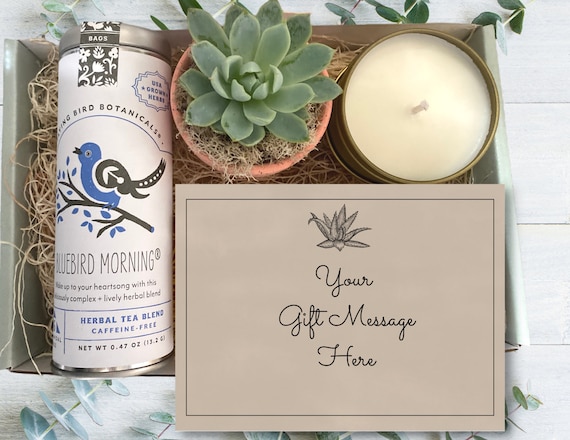 Personalized Tea & Plant Gift Box - Custom Message Card - Care Package With Succulent, Tea And  Candle - Gift For Her