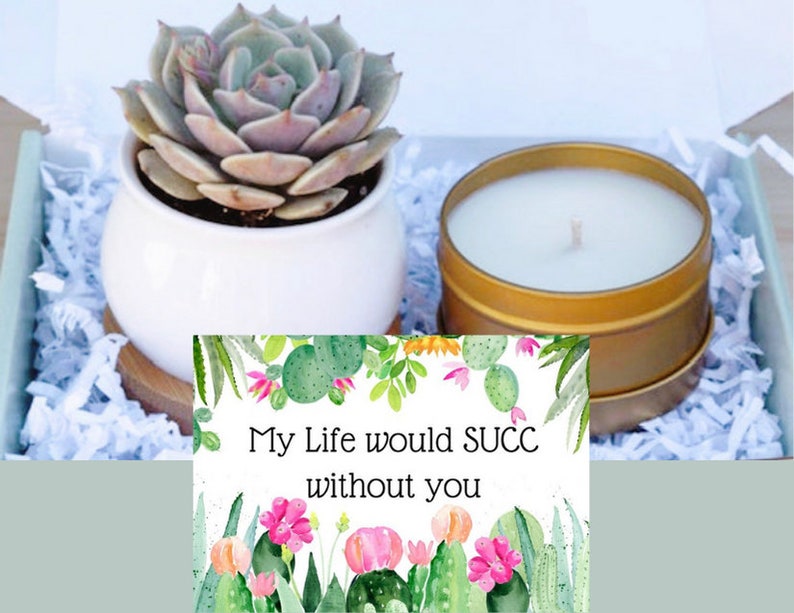 Succulent Gift Box - My Life Would Succ Without You - Best Friend Gift - Send a Gift - Succulent Gifts - Gifts that Grow - Succulent Package 