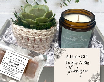 Thank You Gift Box - Care Package - Plant Gift Box - Succulent with plant cozy, soy candle and sea salt caramels in decorative gift box