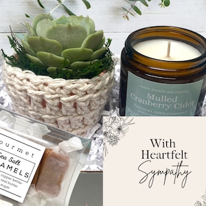Caixa de presente de simpatia - Pacote de cuidados - Caixa de presente de planta - Suculenta com planta aconchegante, vela de soja e caramelos de sal marinho em caixa de presente decorativa