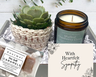 Sympathy Gift Box - Care Package - Plant Gift Box - Succulent with plant cozy, soy candle and sea salt caramels in decorative gift box