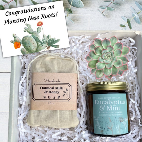 New Home Succulent Gift Box - Congratulations on Planting New Roots - Relaxation Gift - Self Care Set - Rest & Relaxation - Organic Soap