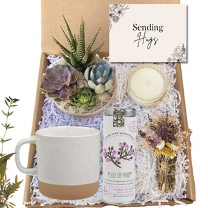 Cesta de presentes Sending Hugs - Pacote de cuidados para enviar abraços - Presente de conforto - Presente de arranjo de suculentas - Cesta de presentes pensando em você