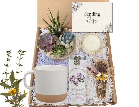 Sending Hugs Gift Basket - Care Package For Sending Hugs - Comfort Gift - Succulent Arrangement Gift - Thinking of You Gift Basket