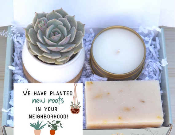 Introduction Gift - New Neighbor Succulent Gift Box - We're Planting New Roots in Your Neighborhood - Home Decor Gift