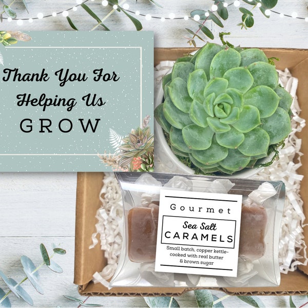 Thank You For Helping Us Grow Succulent Gift Box - Corporate Gift Box - Employee Gifts - Client Gift