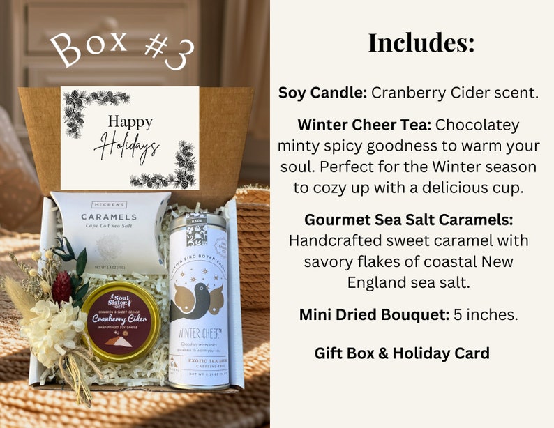 Christmas Gift Box Christmas Care Package Holiday Gift Box Gift for