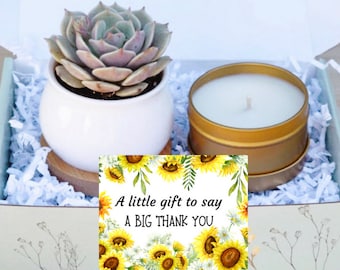 Thank You Succulent Gift Box - A Big Thank You Gift Box - Holiday Gifts - Appreciation Gift - Gifts that Grow - Succulent Care Package