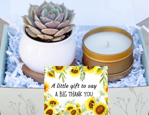 Thank You Succulent Gift Box