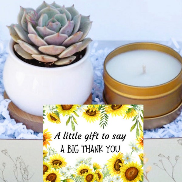 Thank You Succulent Gift Box - A Big Thank You Gift Box - Holiday Gifts - Appreciation Gift - Gifts that Grow - Succulent Care Package