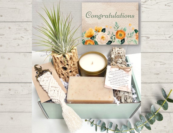 Congratulations Gift Box - Plant Care Package - Home Decor Gift - Congratulations Gifts - Summer Gifts