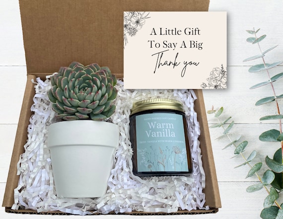Thank You Gift -  A Little Gift To Say A BIG Thank You - Gift Box - Succulent Gifts - Gift for Appreciation